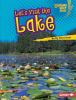 Let_s_visit_the_lake