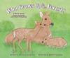 Who_grows_up_in_the_forest___a_book_about_forest_animals_and_their_offspring