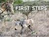 First_Steps