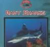 Baby_sharks