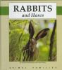 Rabbits_and_hares