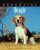 The_essential_beagle