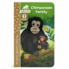 Chimpanzee_family