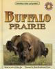 Buffalo_prairie