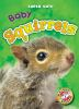 Baby_squirrels