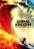 Animal_Kingdom___the_complete_fourth_season