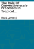 The_role_of_convective-scale_processes_in_tropical_cyclone_development