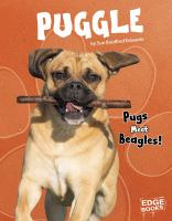 Puggle__pugs_meet_beagles_