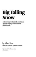 Big_falling_snow