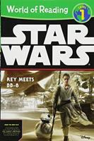 Rey_meets_BB-8