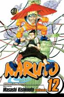 Naruto_Vol__12__The_great_flight