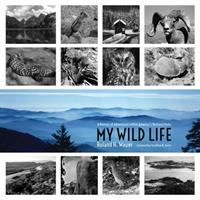 My_wild_life