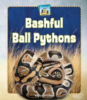 Bashful_ball_pythons