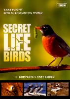 Secret_life_of_birds__The