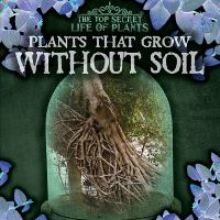 Plants_That_Grow_Without_Soil