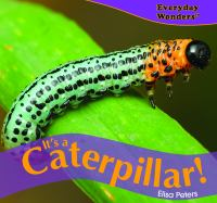 It_s_a_caterpillar_