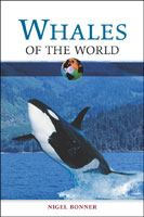 Whales_of_the_world