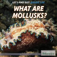 What_are_mollusks_