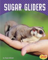 Sugar_Gliders