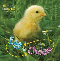 Egg_to_chicken