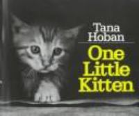 One_little_kitten