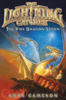 The_fire_dragon_storm