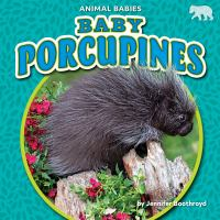 Baby_porcupines