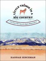 Little_things_in_a_big_country