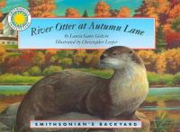 River_Otter_at_Autumn_Lane