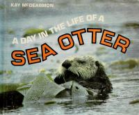 A_day_in_the_life_of_a_sea_otter