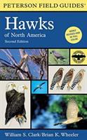 A_field_guide_to_hawks__of_North_America