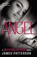 Angel__Colorado_State_Library_Book_Club_Collection_