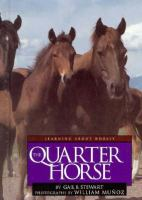 The_quarter_horse