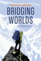 Bridging_worlds