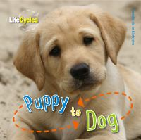 Puppy_to_dog