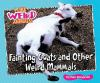 Fainting_goats_and_other_weird_mammals